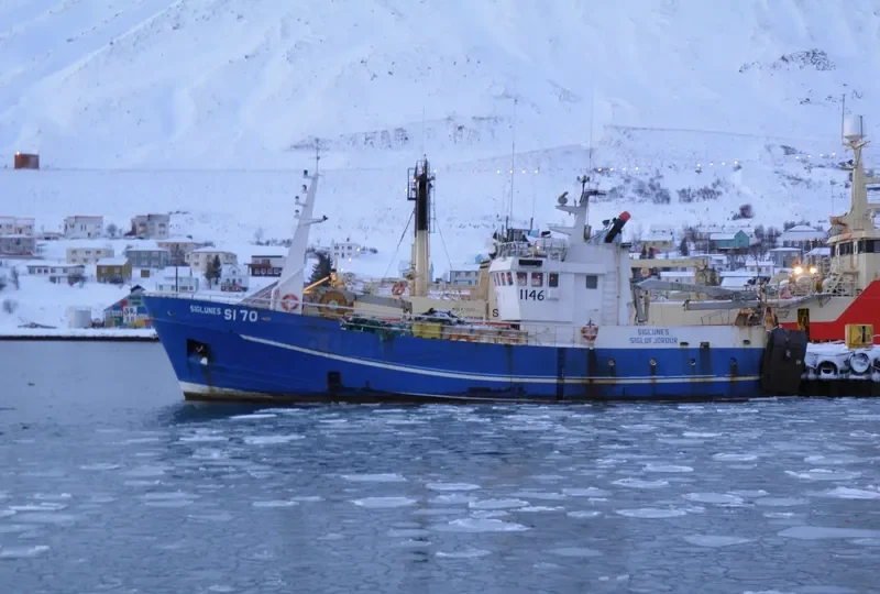 SIGLUNES General Cargo IMO 7102534 photo 2