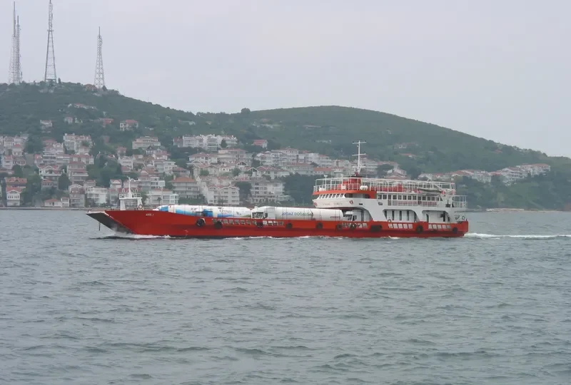 AYIS I Ro-Ro IMO 7103198 photo 5