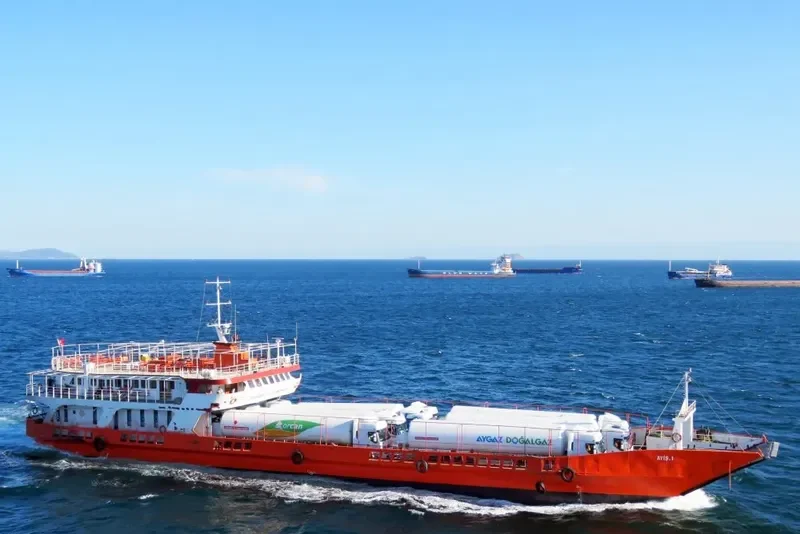 AYIS I Ro-Ro IMO 7103198 photo 8