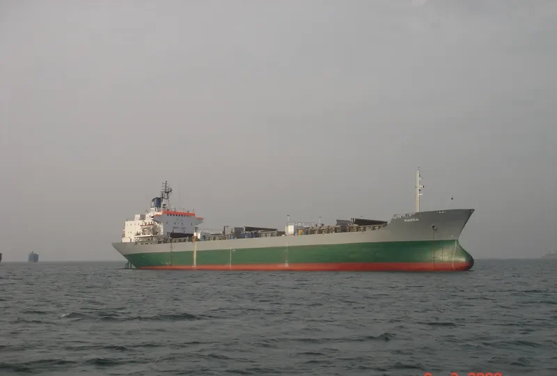 MAFRA Bulk Carrier IMO 7104958 photo 2