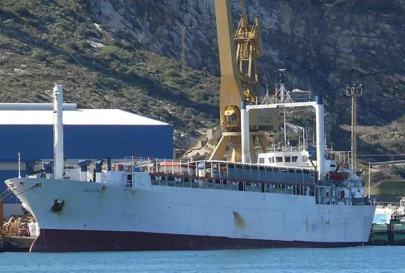 FREEDOM General Cargo IMO 7104972 photo 6