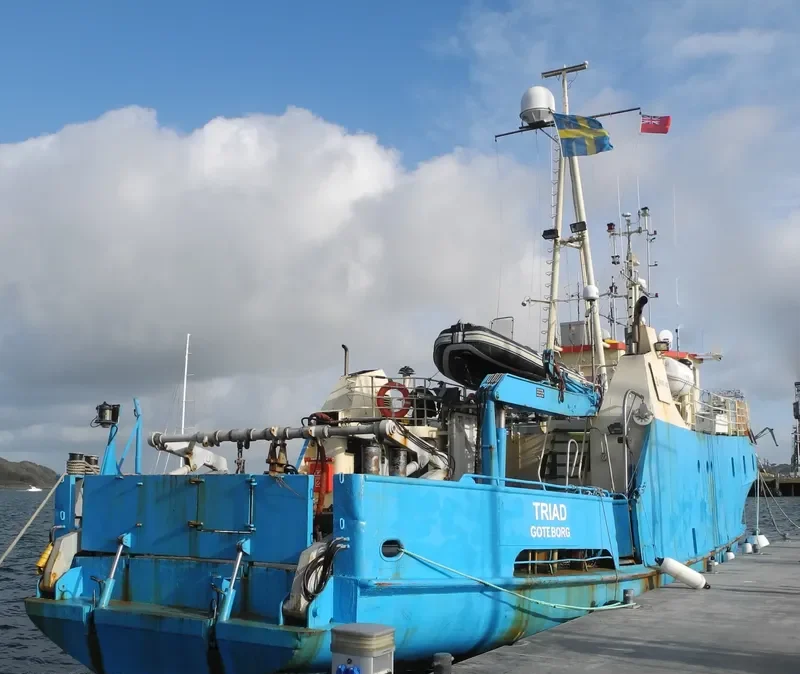 TRIAD Research Vessel IMO 7105146 photo 4