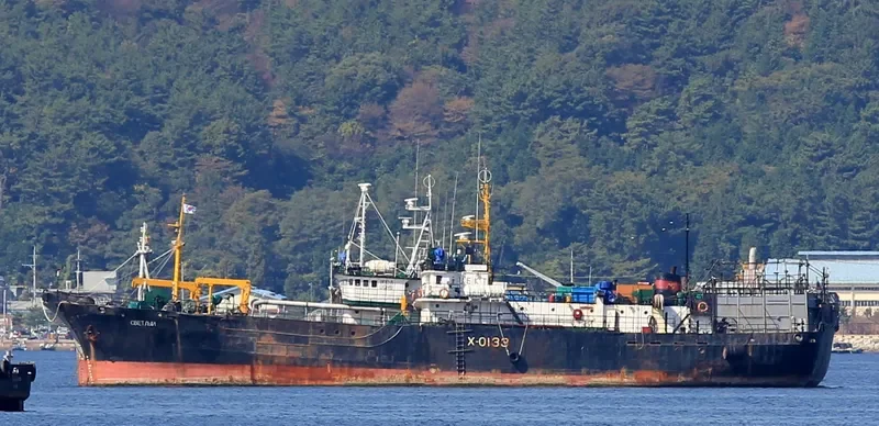 SVETLYI General Cargo IMO 7106322