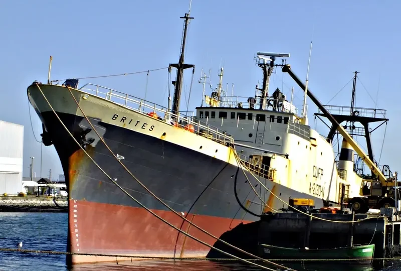 BRITES General Cargo IMO 7107431 photo 8