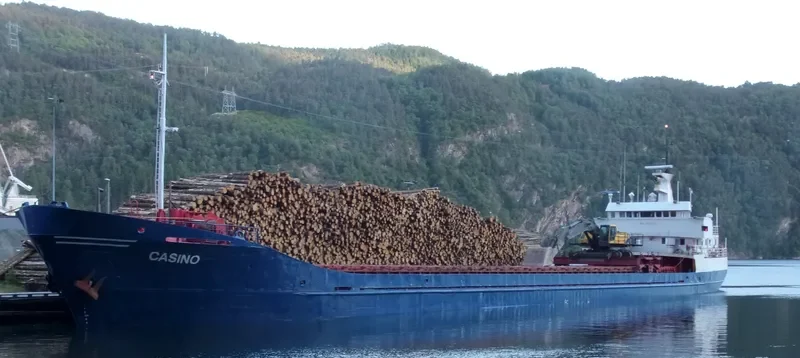 CASINO General Cargo IMO 7107730 photo 6