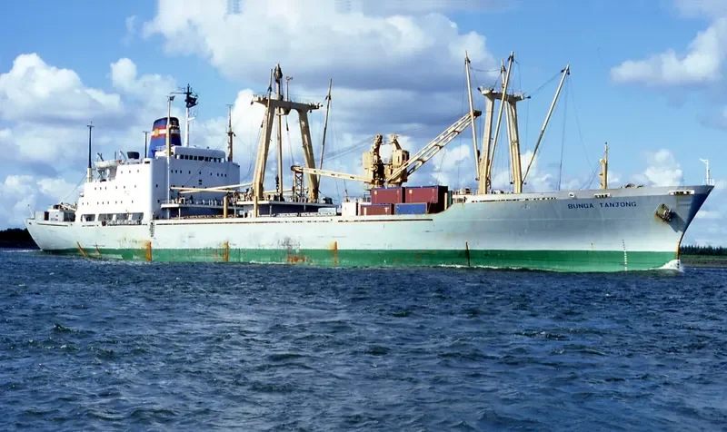BUNGA TANJONG General Cargo IMO 7108473