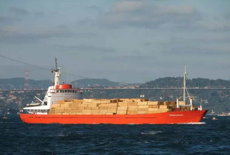 YAAKOB II General Cargo IMO 7108978 photo 8