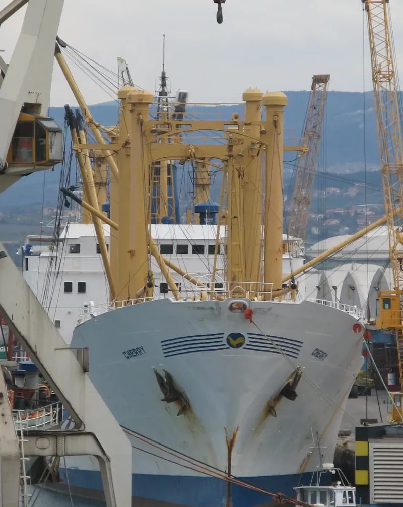 CHERRY General Cargo IMO 7110062 photo 6
