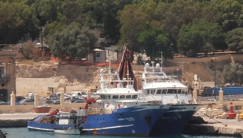 ANGELO CATANIA Fishing Vessel IMO 7110189 photo 7