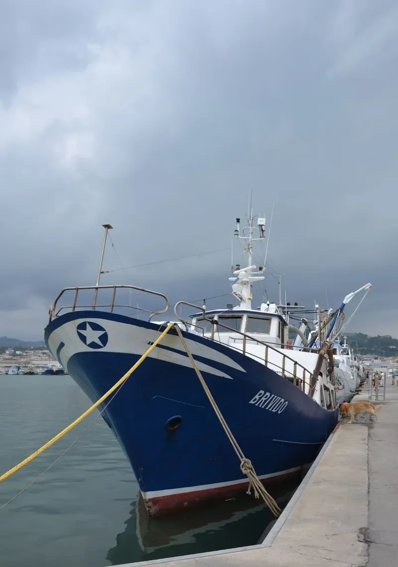 BRIVIDO Fishing Vessel IMO 7110268 photo 2