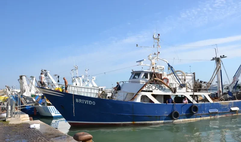 BRIVIDO Fishing Vessel IMO 7110268 photo 3