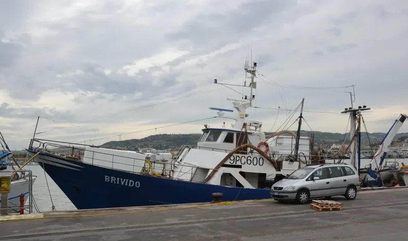 BRIVIDO Fishing Vessel IMO 7110268 photo 6