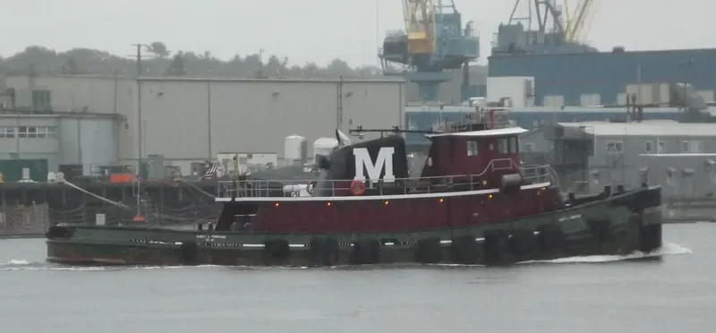 MARJORIE WINSLOW General Cargo IMO 7110878 photo 6