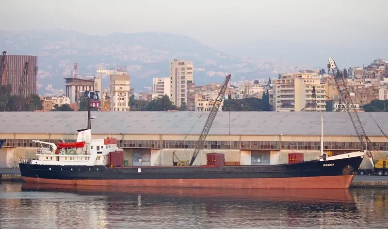 VICTORIA STAR General Cargo IMO 7111004 photo 2