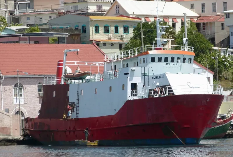 AMELIA A.I Passenger Vessel IMO 7112163 photo 2
