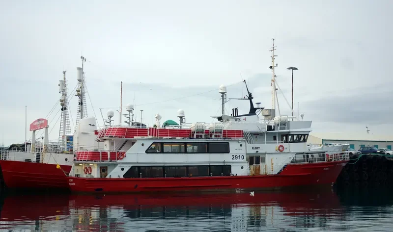 ELDEY Passenger Vessel IMO 7112216 photo 3