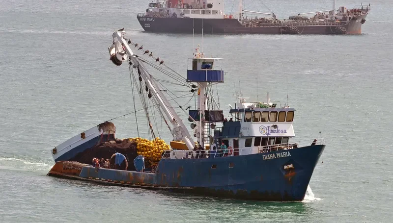 DIANA MARIA General Cargo IMO 7112280