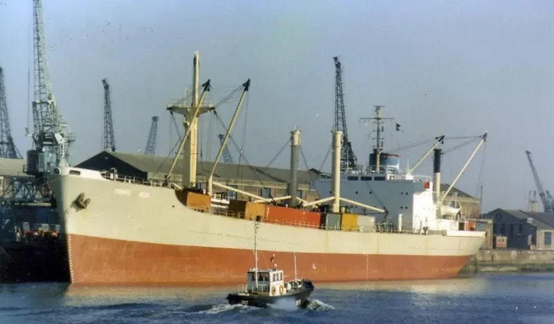 MANDARIN OCEAN General Cargo IMO 7112395