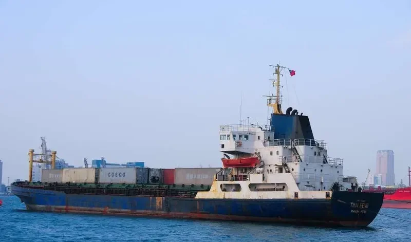 TIAN FENG Container Ship IMO 7112486 photo 3