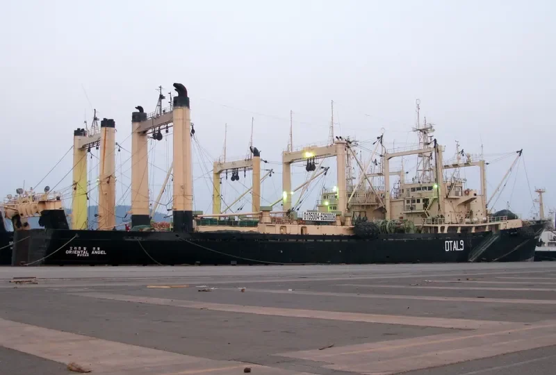 ORIENTAL ANGEL General Cargo IMO 7112577