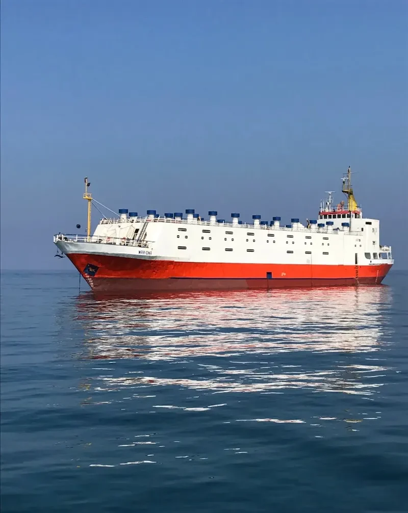 MARIONA General Cargo IMO 7113624 photo 7