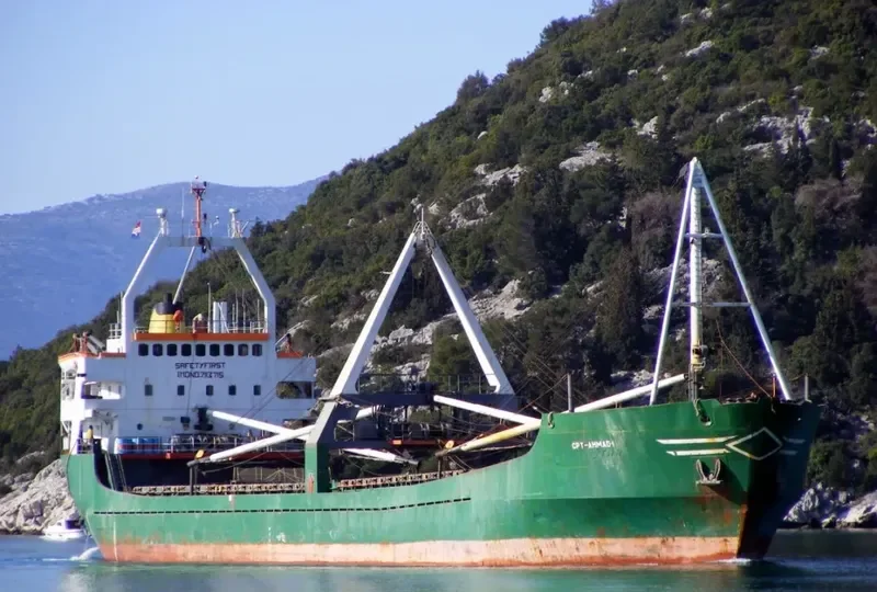 CHIEF AHMAD General Cargo IMO 7113715 photo 5