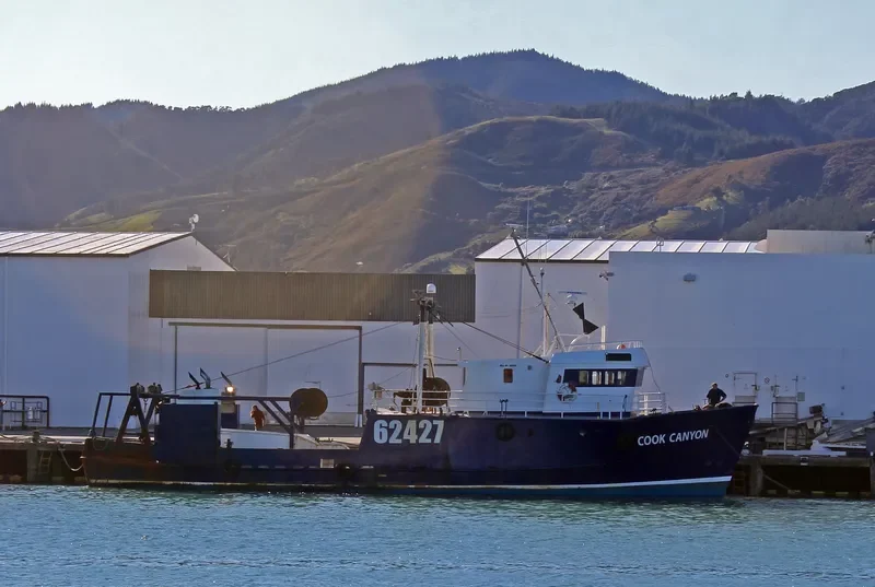 COOK CANYON General Cargo IMO 7114006 photo 9