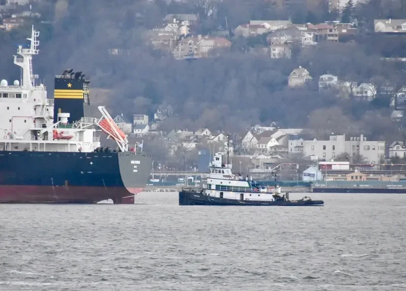 AURORA General Cargo IMO 7114018