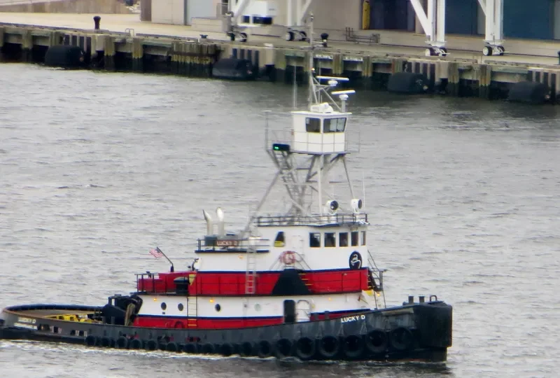LUCKY D General Cargo IMO 7114020 photo 5
