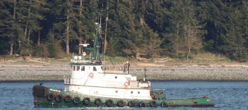 SEABOLD Tug Boat IMO 7114068 photo 3