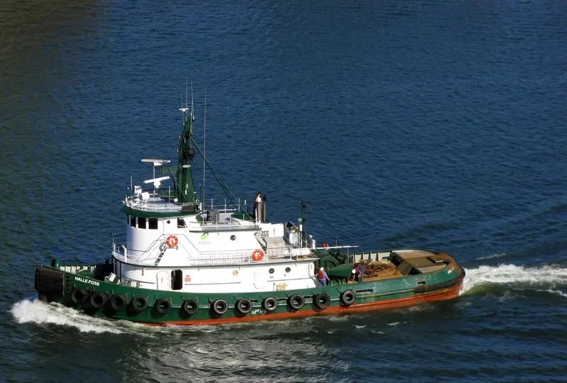 SEABOLD Tug Boat IMO 7114068 photo 9