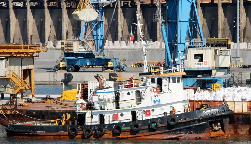 PUNTA PENNA General Cargo IMO 7114159