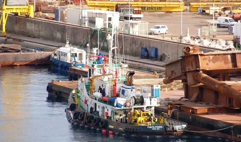 PUNTA PENNA General Cargo IMO 7114159 photo 2