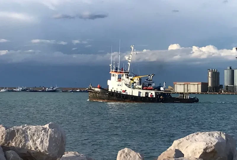 PUNTA PENNA General Cargo IMO 7114159 photo 5