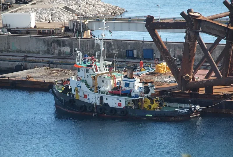 PUNTA PENNA General Cargo IMO 7114159 photo 6