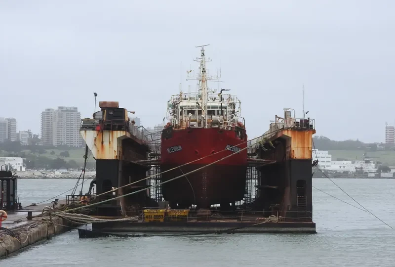 MILLENNIUM General Cargo IMO 7114238