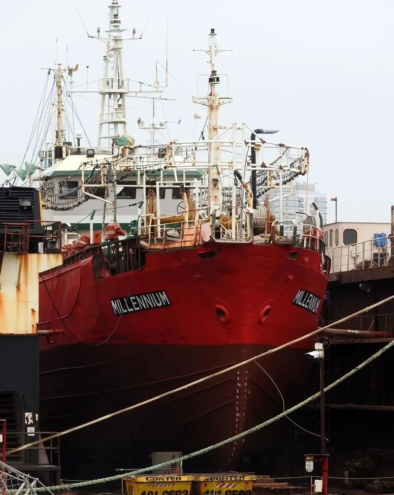 MILLENNIUM General Cargo IMO 7114238 photo 2