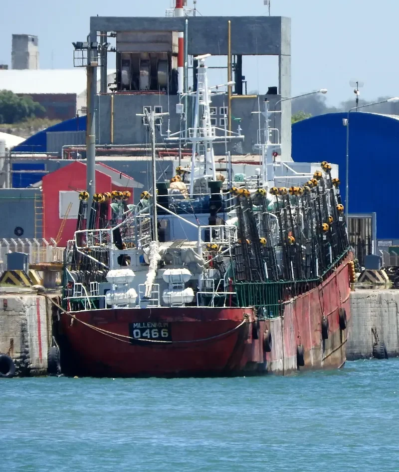 MILLENNIUM General Cargo IMO 7114238 photo 3