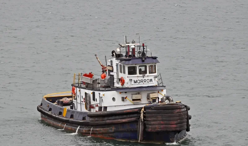 MORROW General Cargo IMO 7114276 photo 4