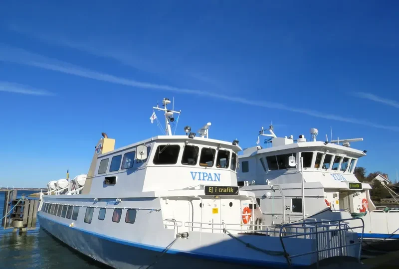 VIPAN Passenger Ship IMO 7114422 photo 4