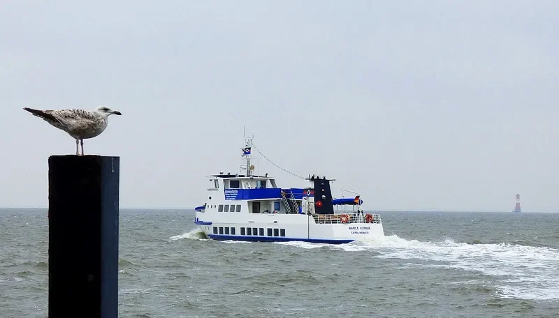 HARLE KURIER Passenger Ship IMO 7114587 photo 3