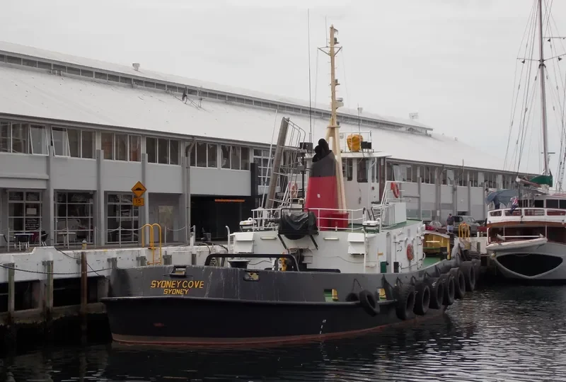 SYDNEY COVE General Cargo IMO 7114745 photo 7