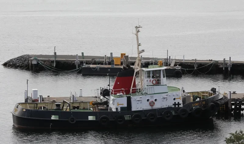 SYDNEY COVE General Cargo IMO 7114745 photo 9
