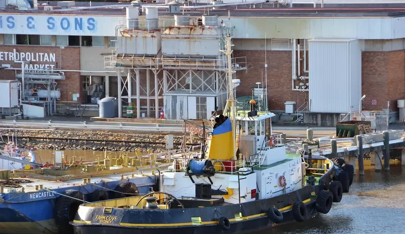 FARM COVE General Cargo IMO 7114757