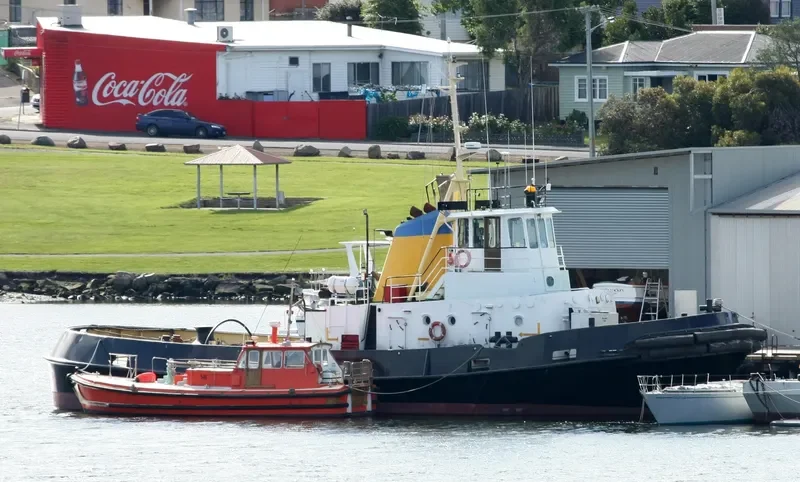 FARM COVE General Cargo IMO 7114757 photo 2