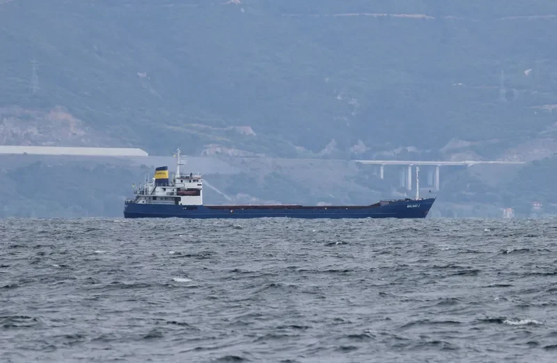 AALAAE J General Cargo IMO 7114800 photo 2