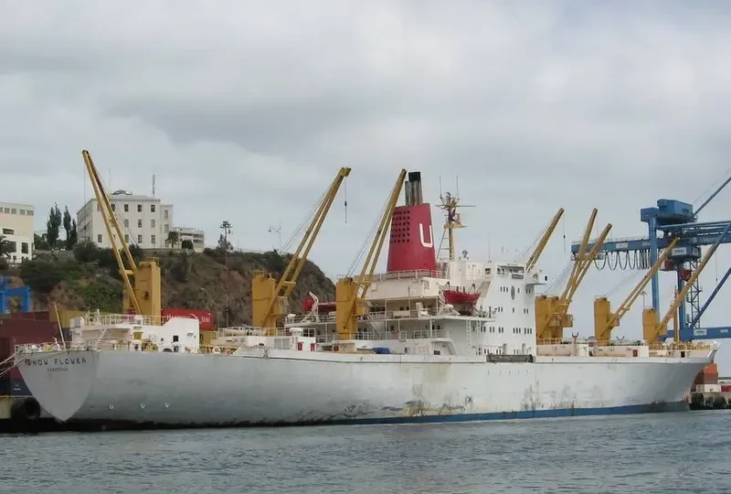 SNOW FLOWER General Cargo IMO 7114953