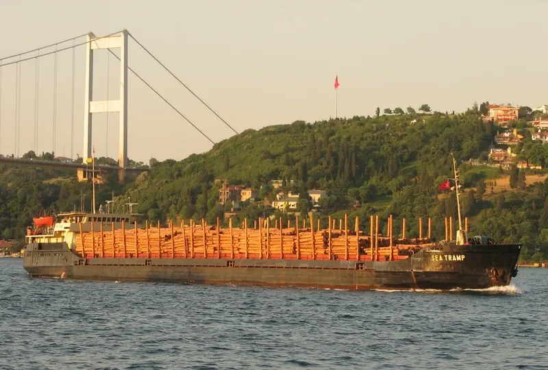 SEA TRAMP General Cargo IMO 7115103