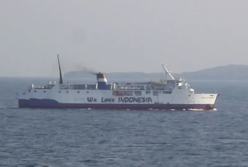 FARINA NUSANTARA Ro-Ro IMO 7116054