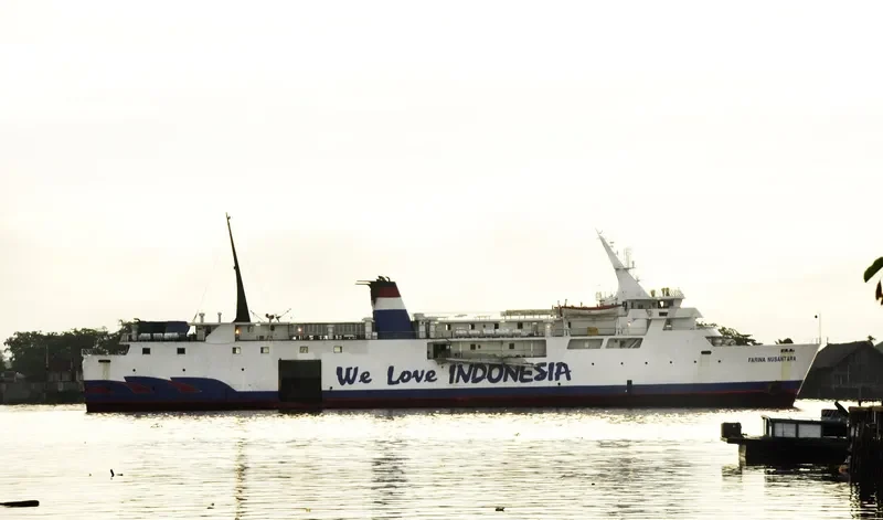 FARINA NUSANTARA Ro-Ro IMO 7116054 photo 2